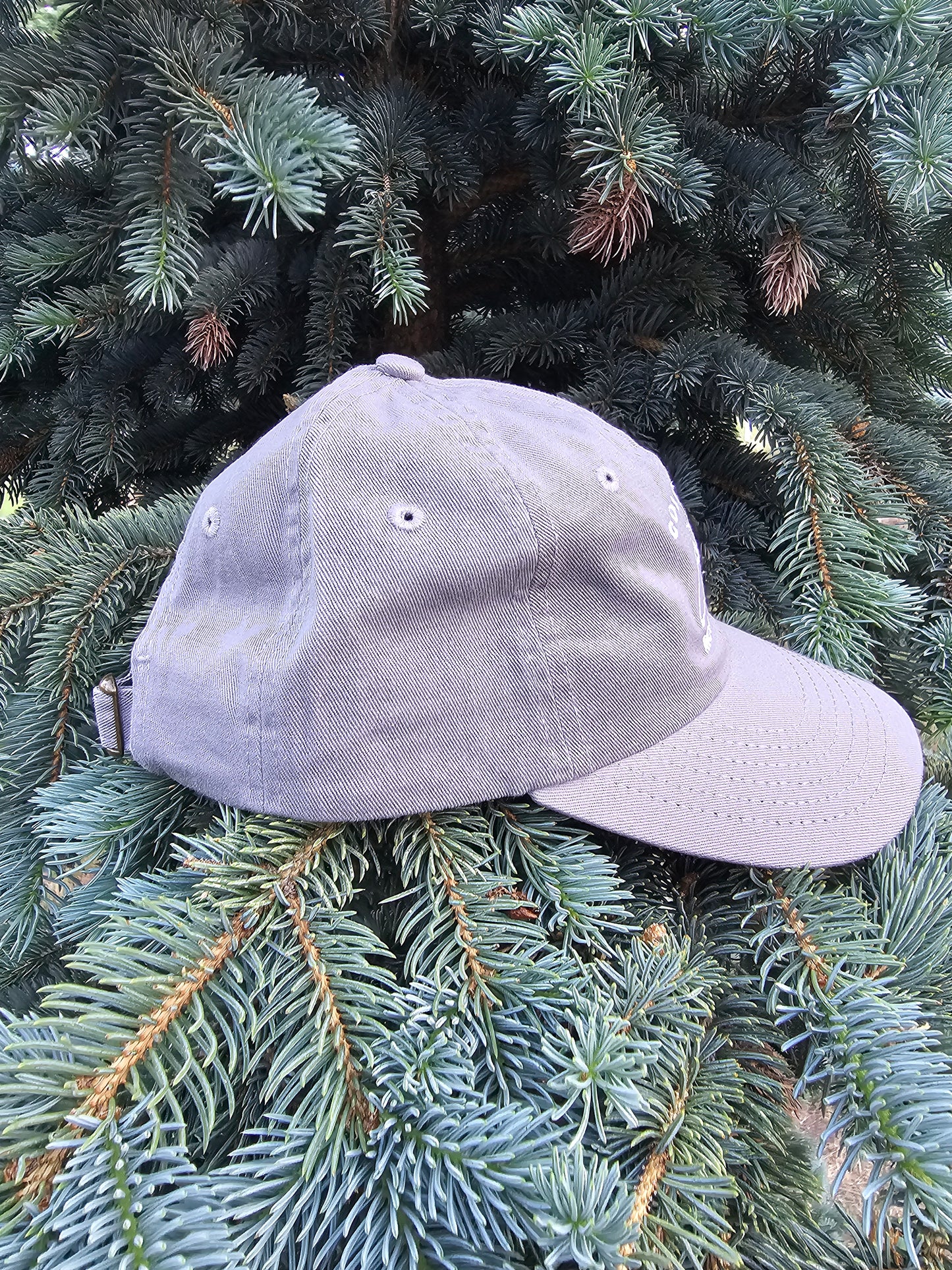 Mountleisure - Colorado Mountain Kid Cap