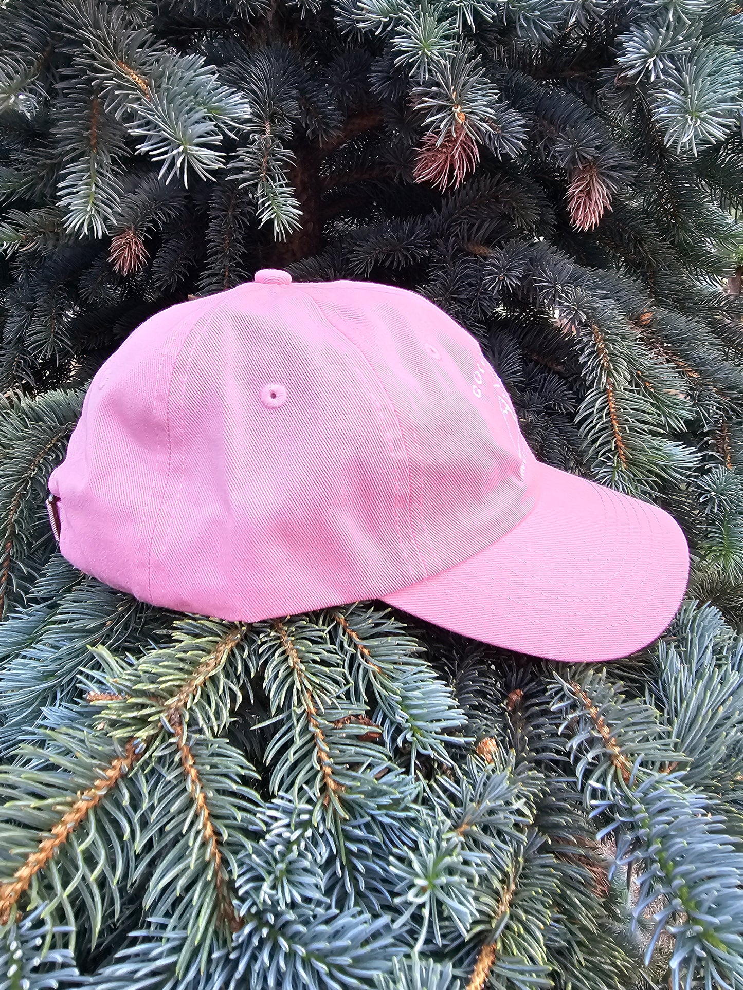 Mountleisure - Colorado Mountain Kid Cap