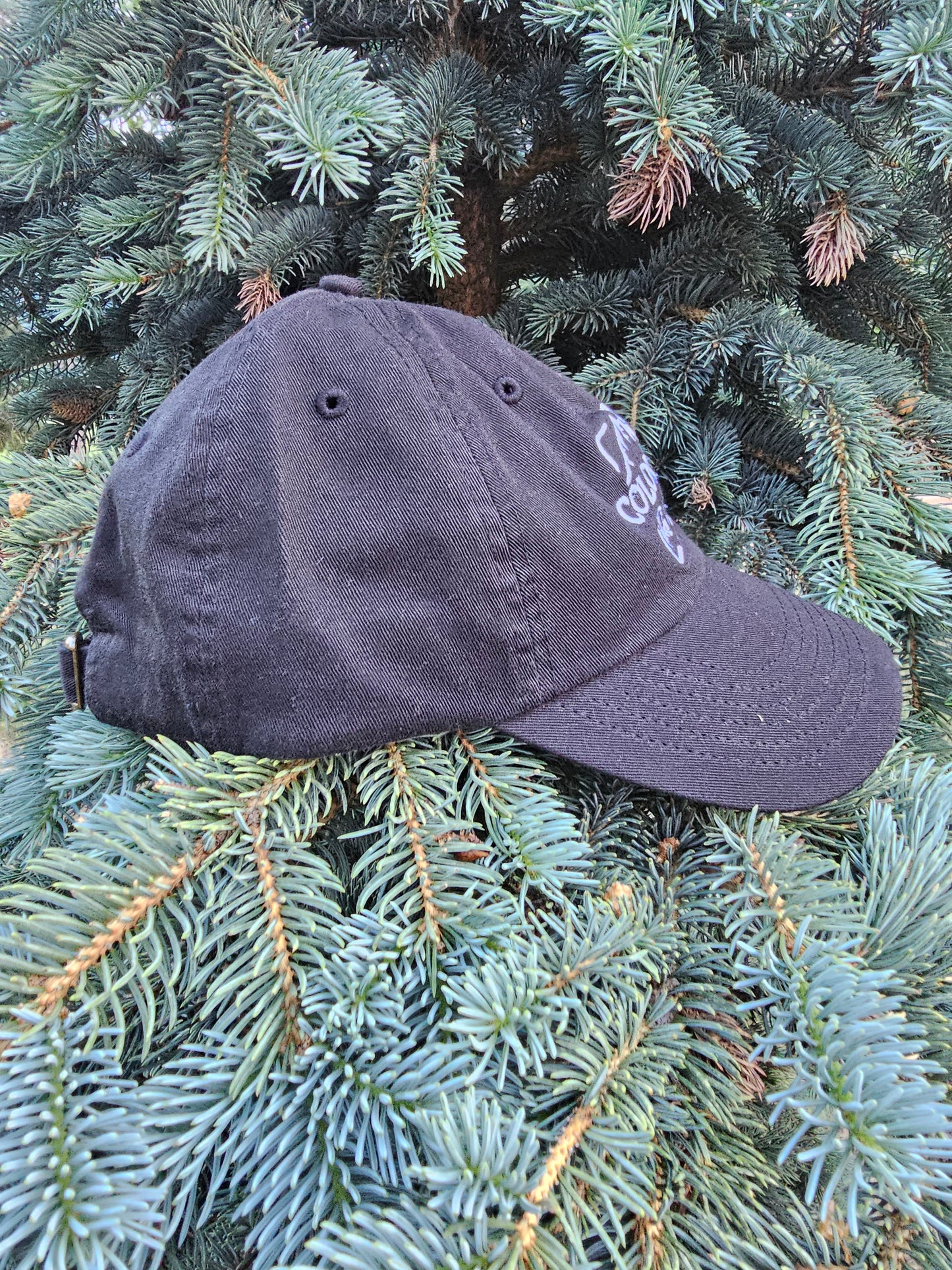 Colorado Take it Outside Adult Cap