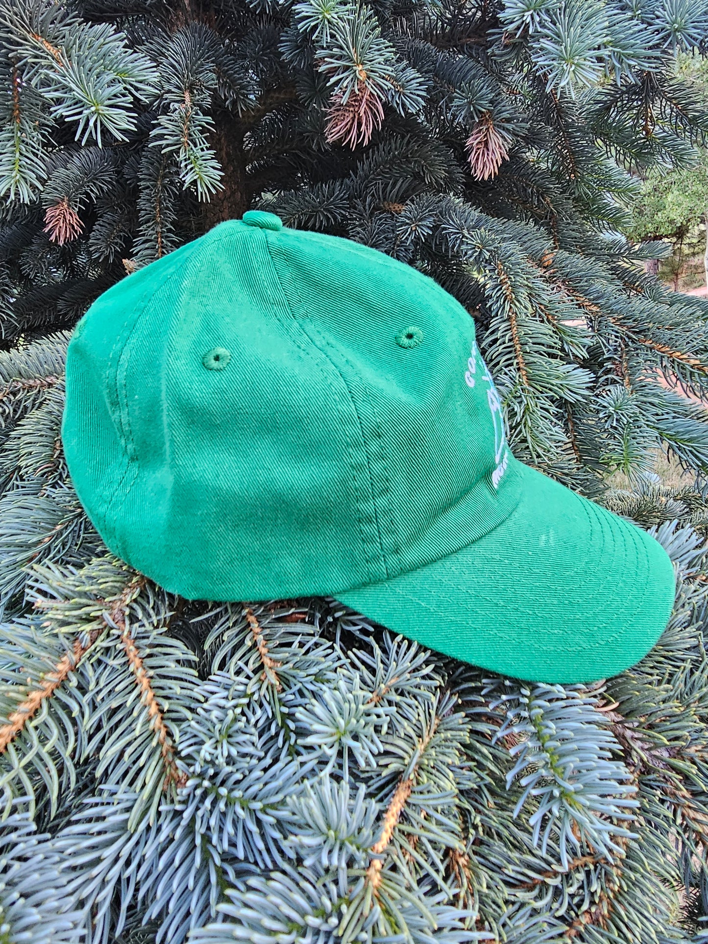 Colorado Mountain Kid Cap