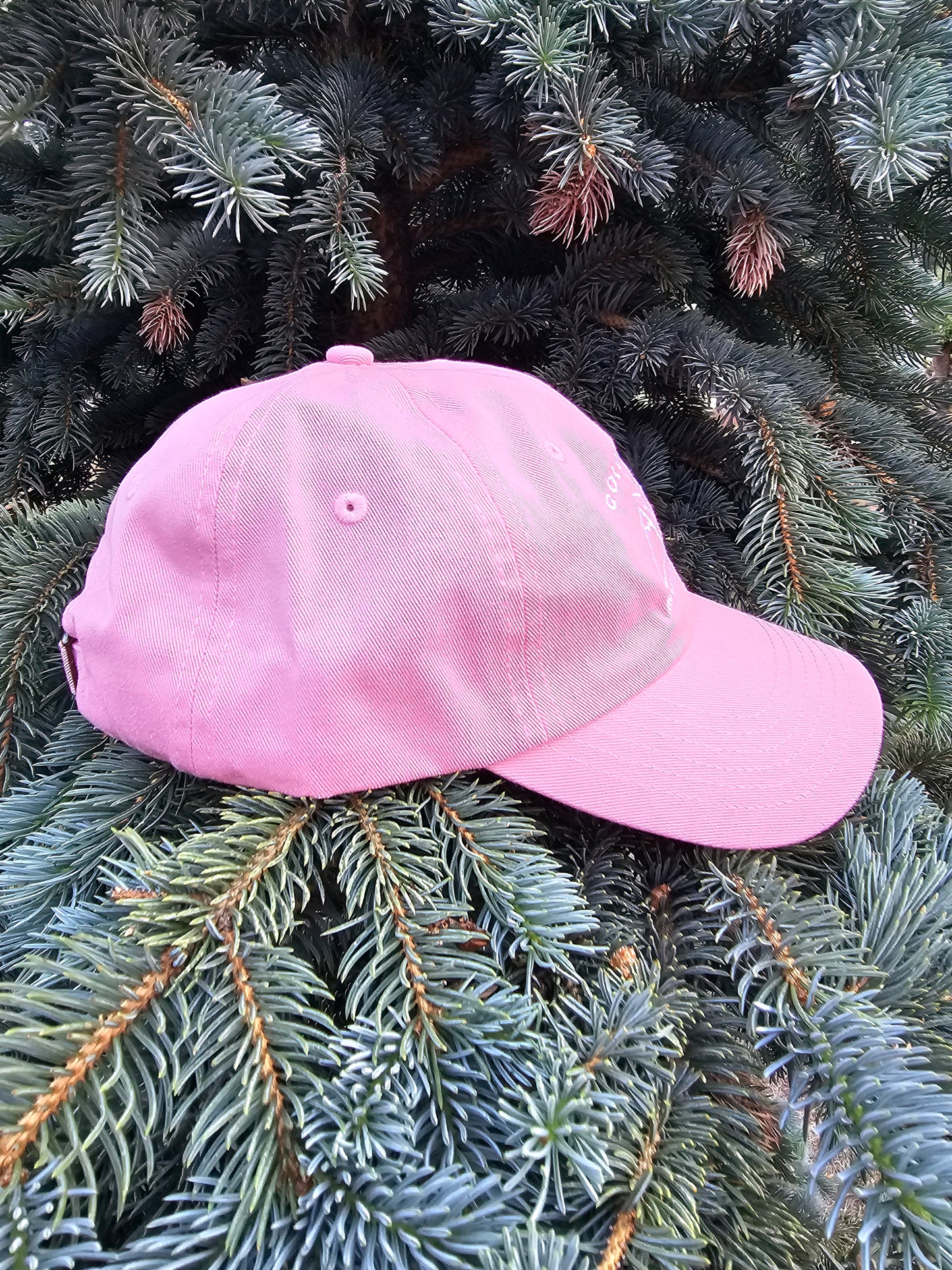 Colorado Mountain Kid Cap